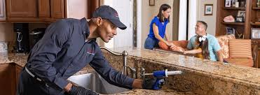 Trusted Oriole Beach, FL Pest Control Experts